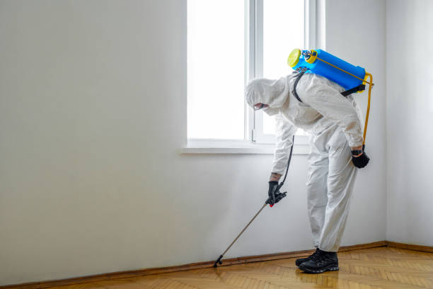 Pest Control for Restaurants in Alliance, NE